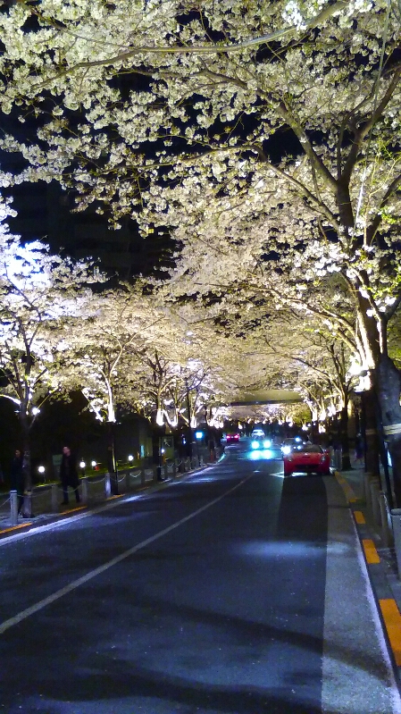 f:id:takealo:20190421095906j:plain f:id:takealo:20190421095906j:plain