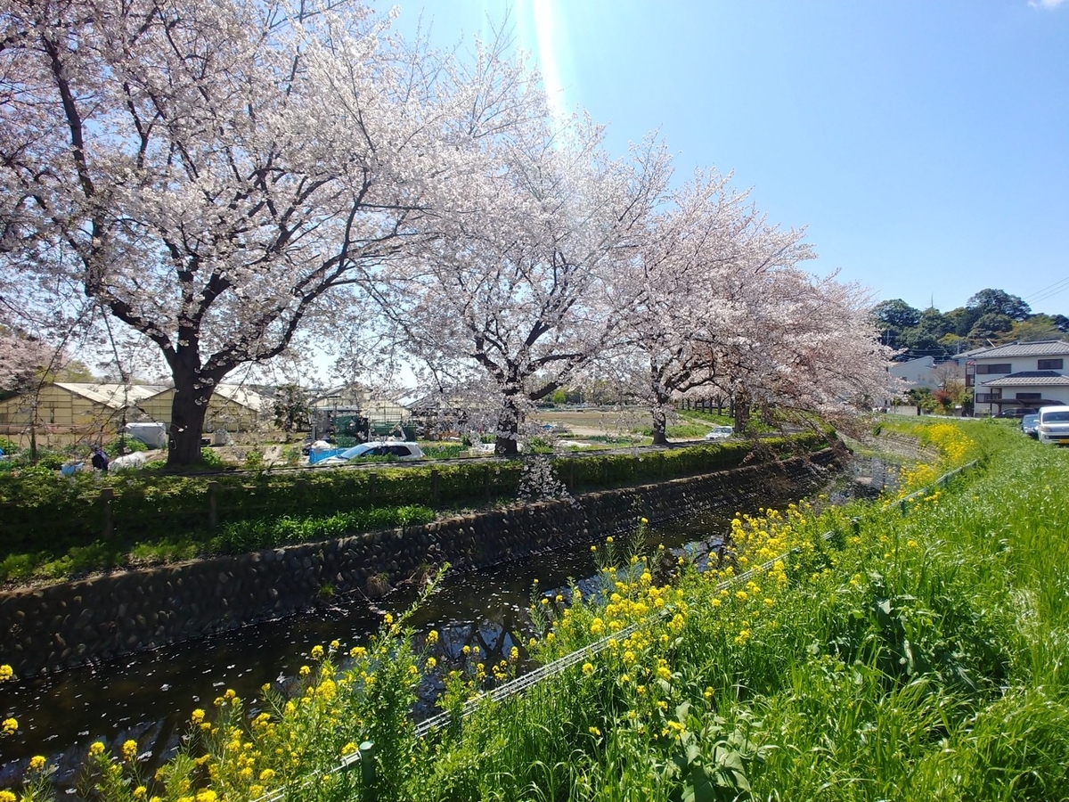 f:id:takealo:20190421095909j:plain f:id:takealo:20190421095909j:plain