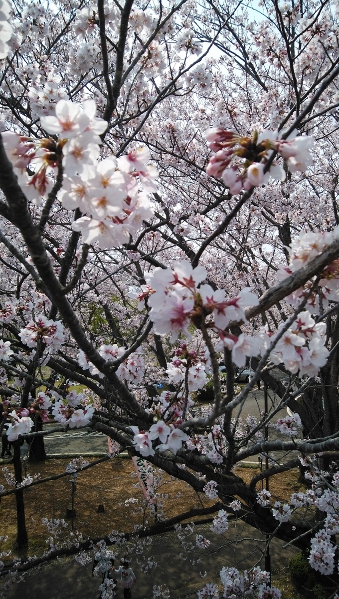 f:id:takealo:20190421095913j:plain f:id:takealo:20190421095913j:plain