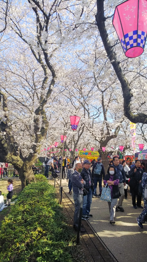 f:id:takealo:20190421095917j:plain f:id:takealo:20190421095917j:plain