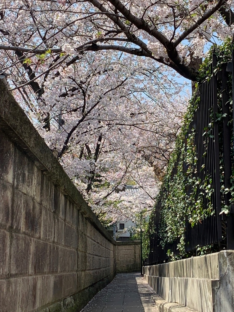 f:id:takealo:20190421095920j:plain f:id:takealo:20190421095920j:plain