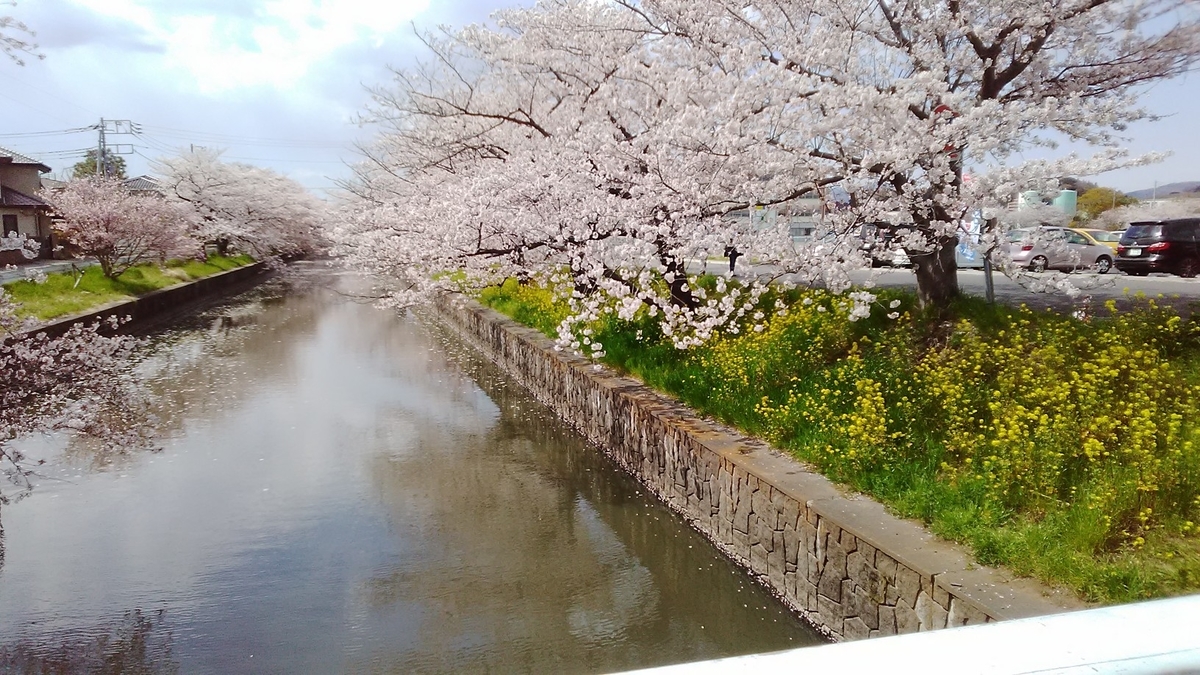 f:id:takealo:20190421095953j:plain f:id:takealo:20190421095953j:plain