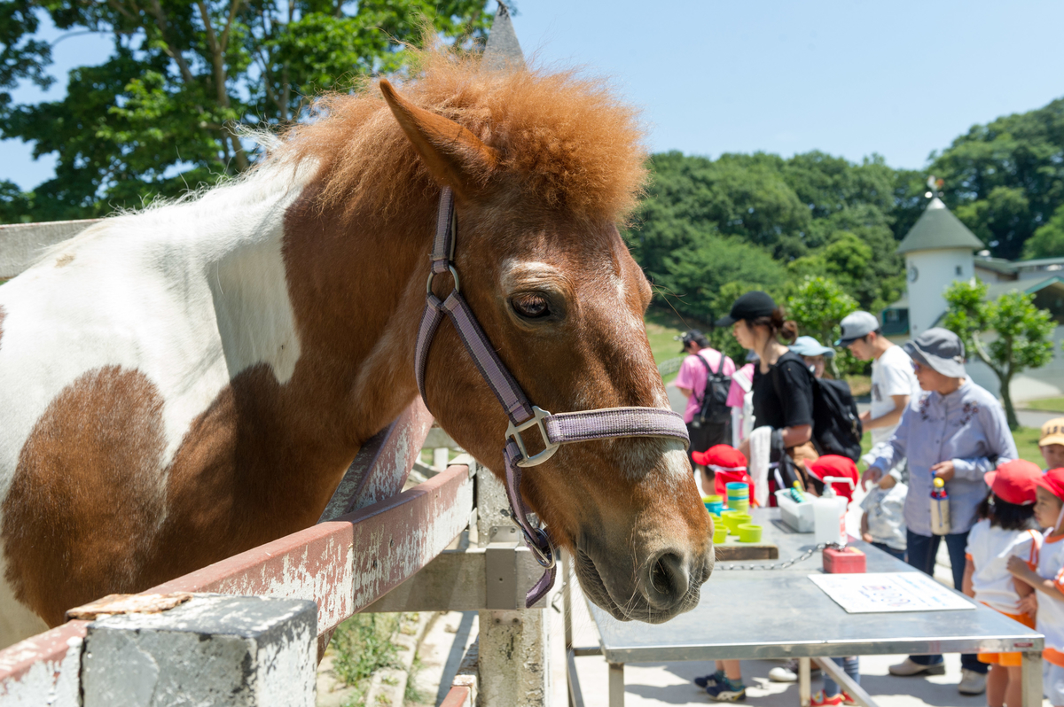 f:id:takealo:20190421132420j:plain f:id:takealo:20190421132420j:plain