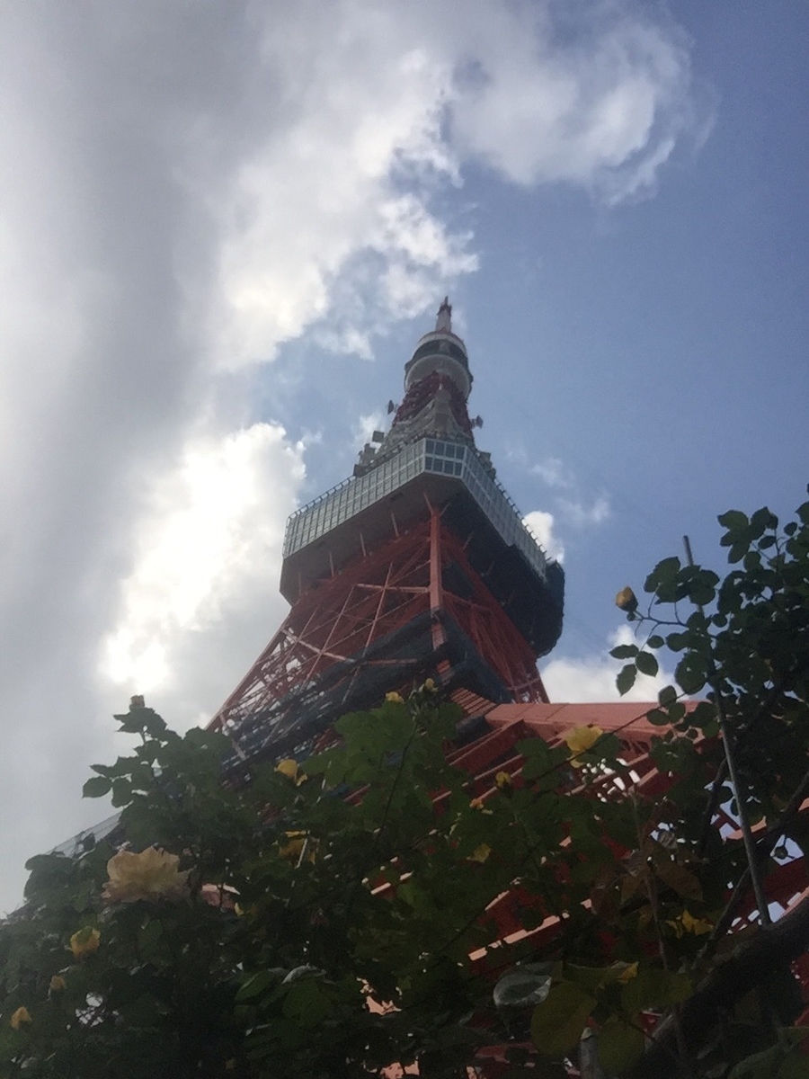 f:id:takealo:20190505125530j:plain f:id:takealo:20190505125530j:plain