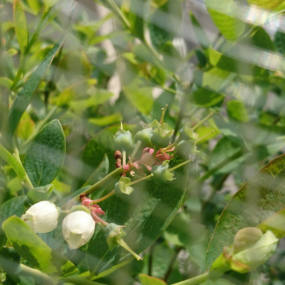 f:id:takealo:20190511130049j:plain f:id:takealo:20190511130049j:plain