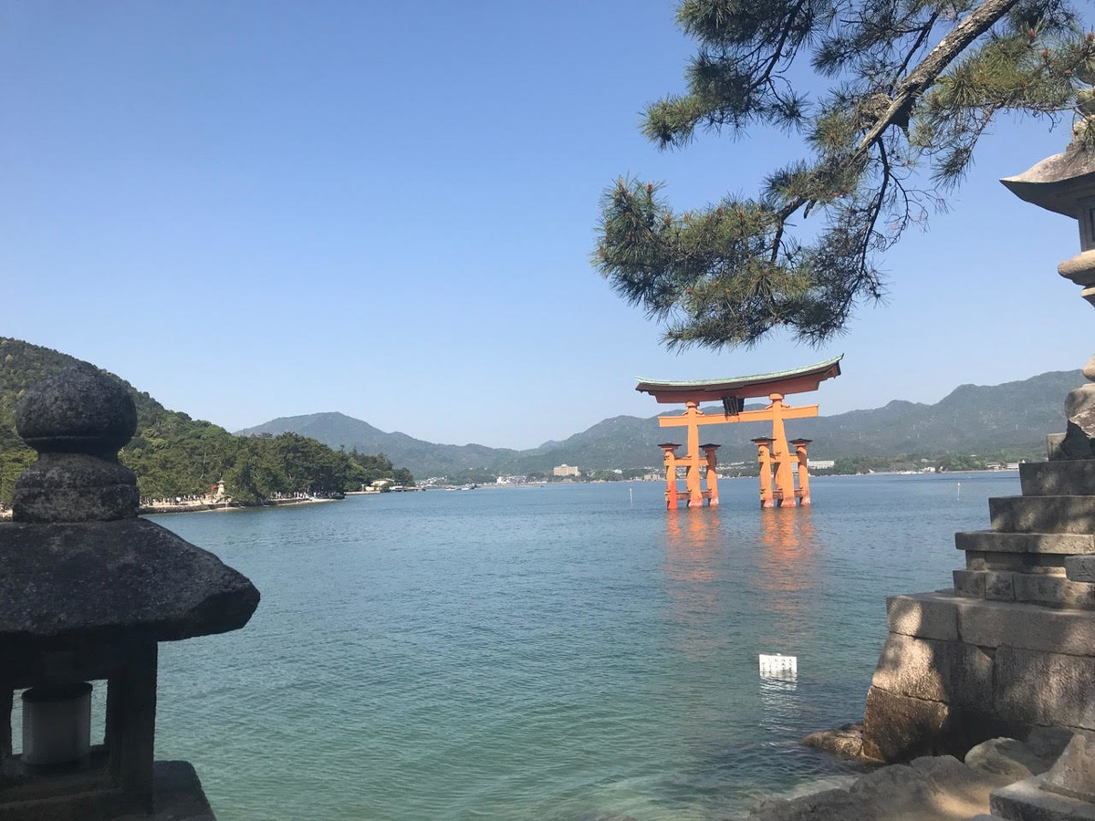 f:id:takealo:20190511130102j:plain f:id:takealo:20190511130102j:plain