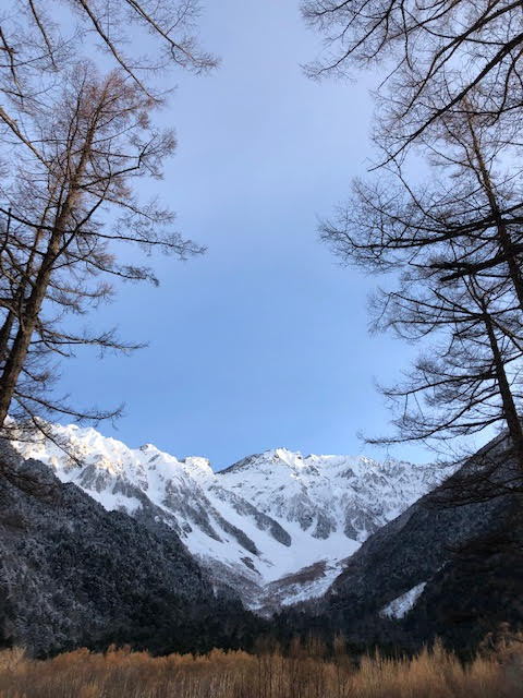 f:id:takealo:20190511130126j:plain f:id:takealo:20190511130126j:plain