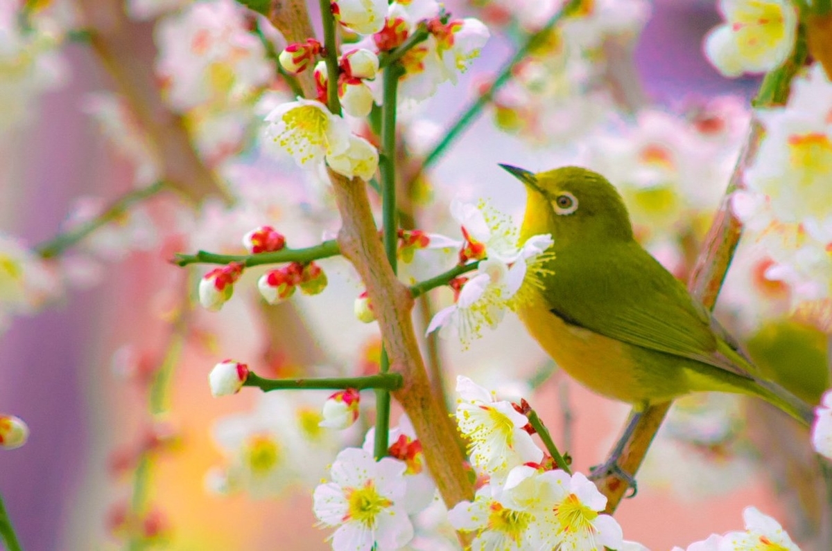 f:id:takealo:20190607003529j:plain f:id:takealo:20190607003529j:plain