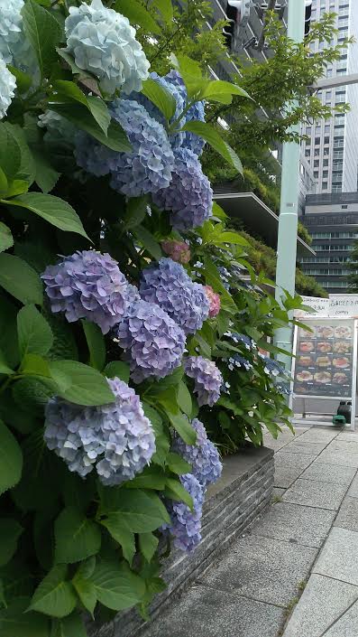 f:id:takealo:20190616112708j:plain f:id:takealo:20190616112708j:plain
