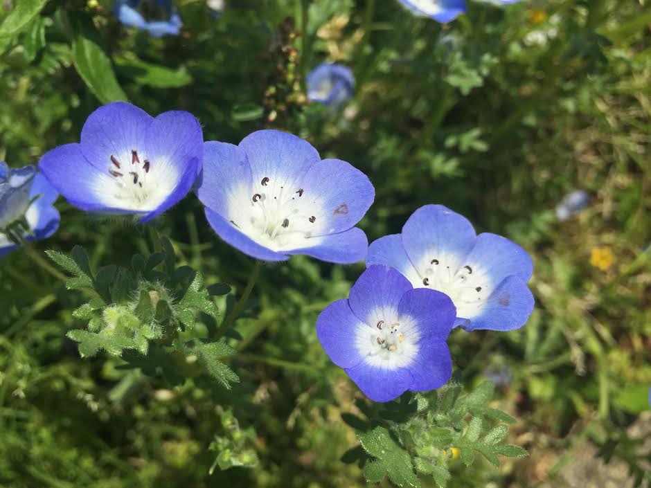 f:id:takealo:20190616112714j:plain f:id:takealo:20190616112714j:plain