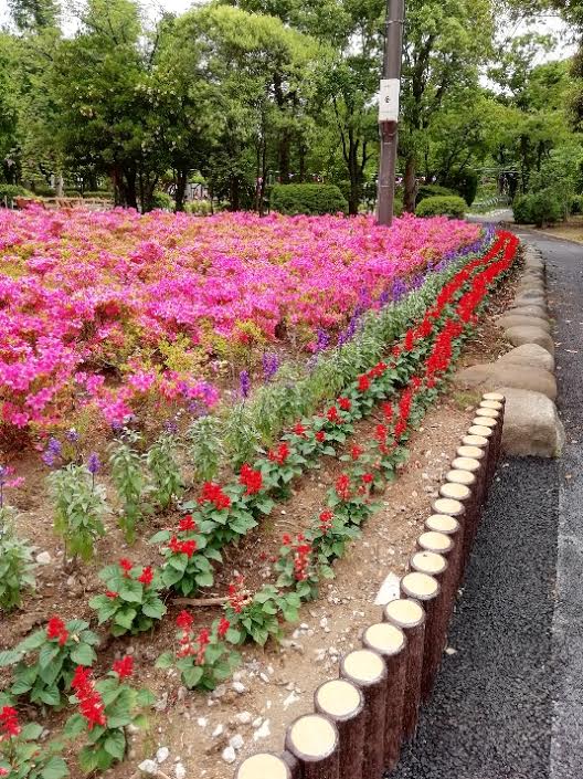 f:id:takealo:20190616112729j:plain f:id:takealo:20190616112729j:plain