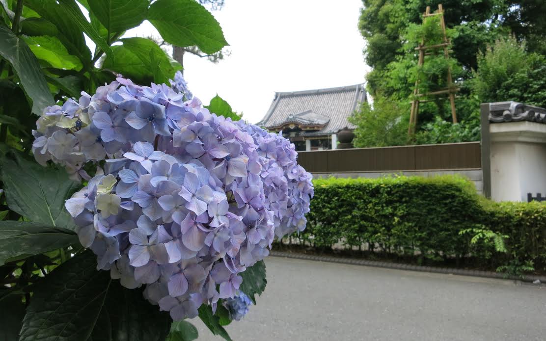 f:id:takealo:20190616112736j:plain f:id:takealo:20190616112736j:plain