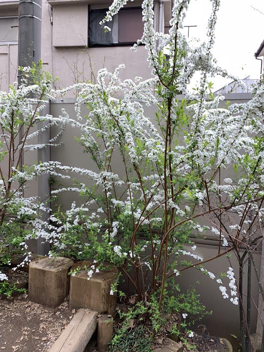 f:id:takealo:20190616112809j:plain f:id:takealo:20190616112809j:plain