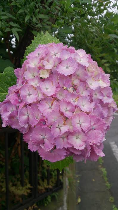 f:id:takealo:20190616112819j:plain f:id:takealo:20190616112819j:plain