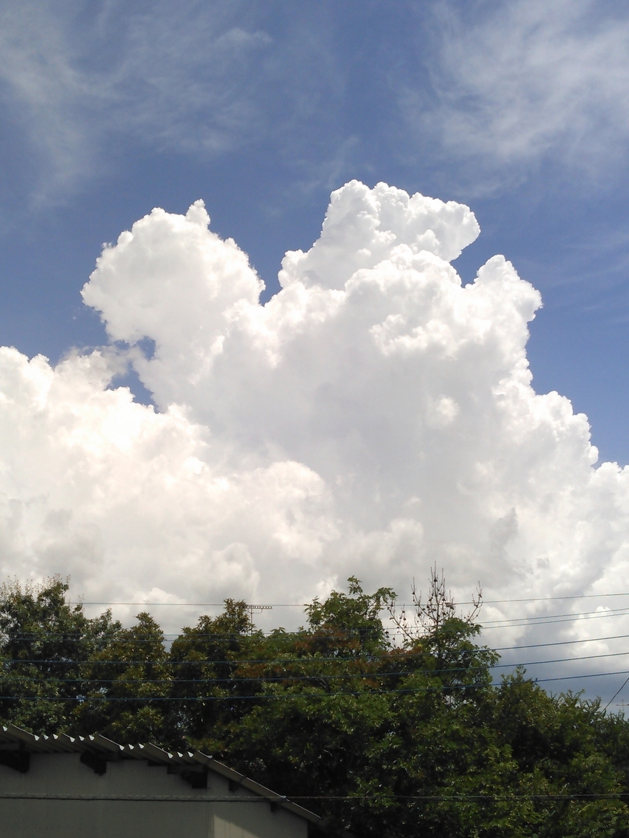 f:id:takealo:20190818122412j:plain f:id:takealo:20190818122412j:plain