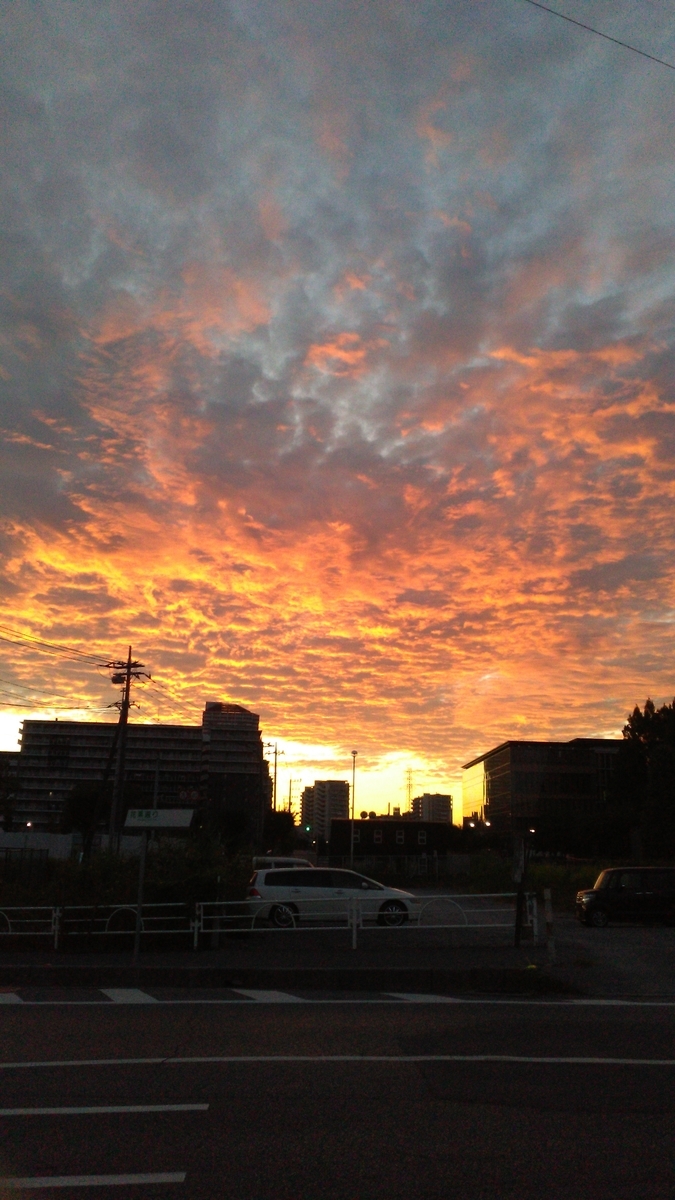 f:id:takealo:20190818122419j:plain f:id:takealo:20190818122419j:plain