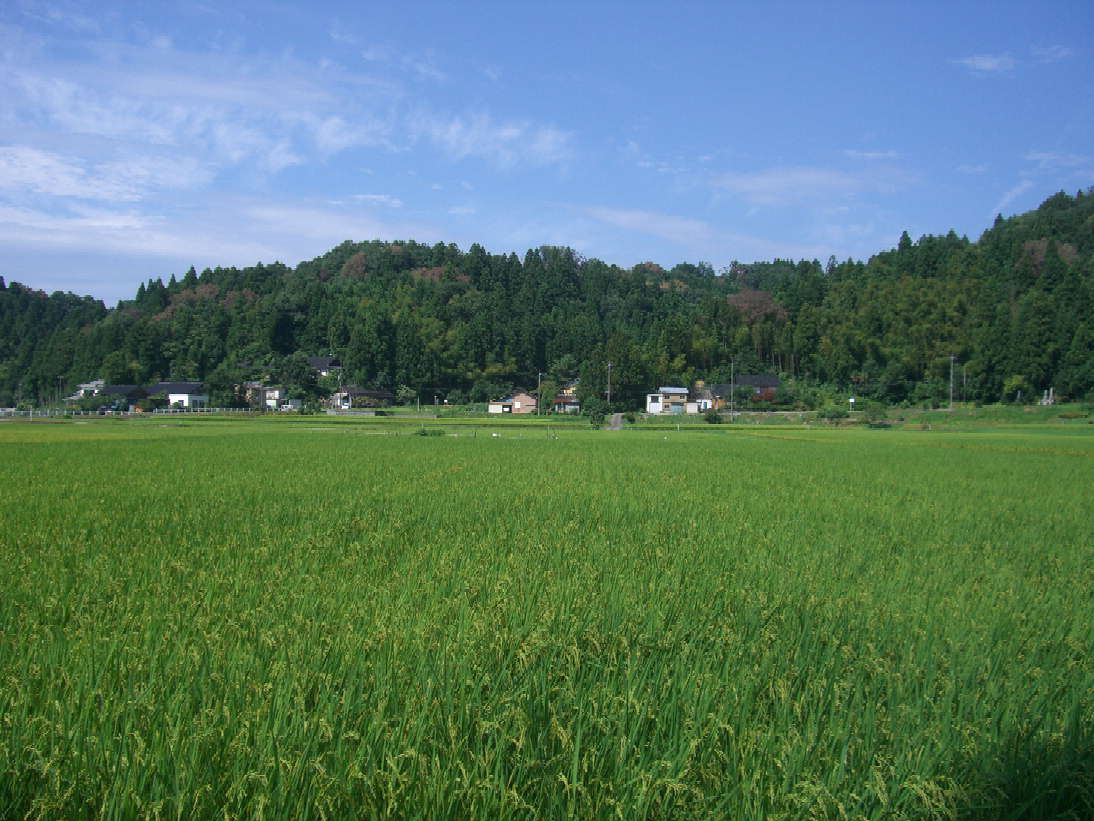 f:id:takealo:20190818122439j:plain f:id:takealo:20190818122439j:plain