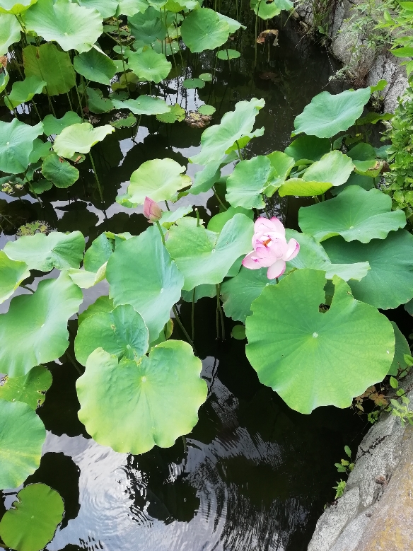 f:id:takealo:20190818122442j:plain f:id:takealo:20190818122442j:plain