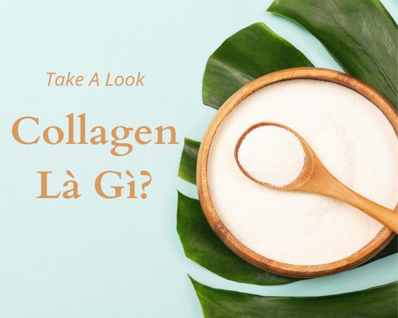 f:id:takealook54:20200724122457j:plain