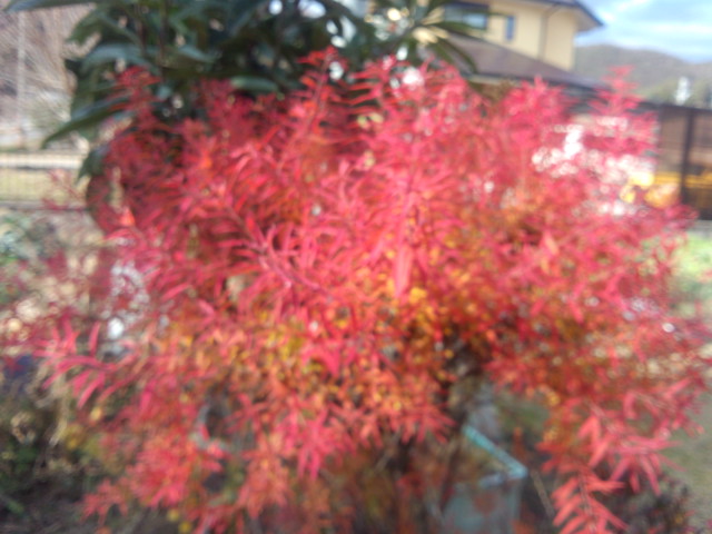 f:id:takebayasi:20131227130257j:image:w360 f:id:takebayasi:20131227130257j:image:w360