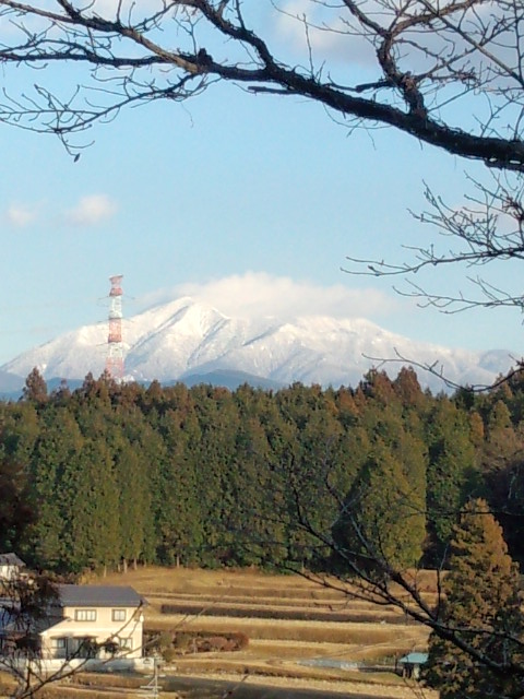 f:id:takebayasi:20140102152459j:image:w360 f:id:takebayasi:20140102152459j:image:w360