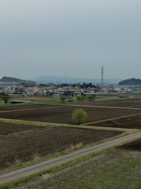f:id:takebayasi:20140422135516j:image:w360:right