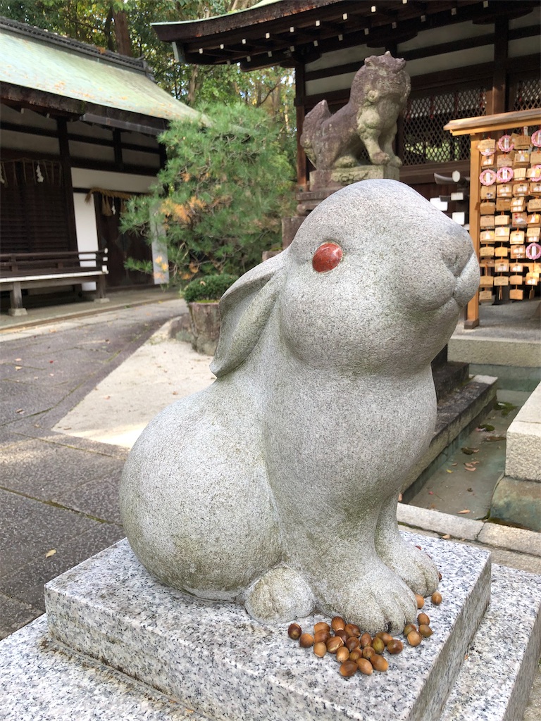 f:id:takeboffice:20181201153451j:image