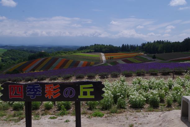 f:id:takechan2019:20200807114941j:plain f:id:takechan2019:20200807114941j:plain