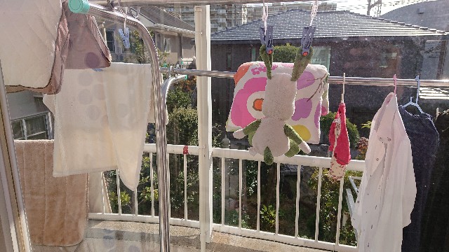 f:id:takechan5580:20181129133232j:image f:id:takechan5580:20181129133232j:image