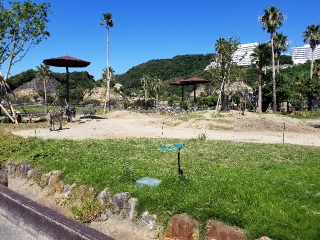 f:id:takechan5580:20190918132754j:image f:id:takechan5580:20190918132754j:image