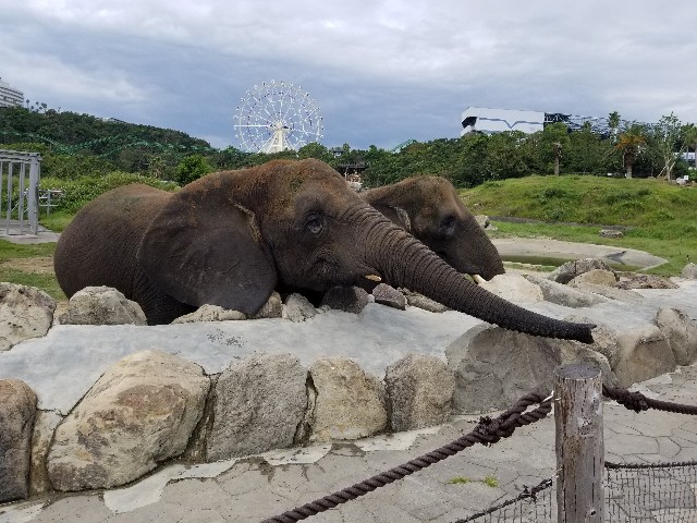 f:id:takechan5580:20190918132839j:image f:id:takechan5580:20190918132839j:image