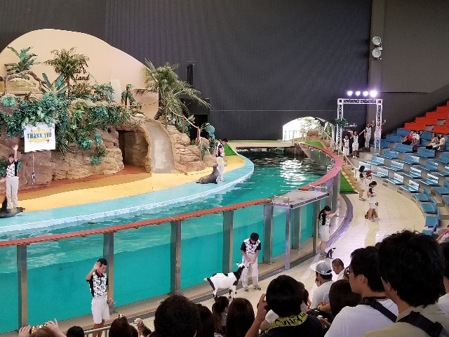 f:id:takechan5580:20190918133443j:image f:id:takechan5580:20190918133443j:image