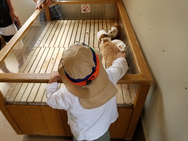 f:id:takechan5580:20190918141922j:image f:id:takechan5580:20190918141922j:image