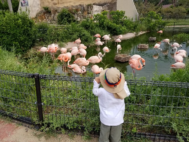 f:id:takechan5580:20190918141958j:image f:id:takechan5580:20190918141958j:image