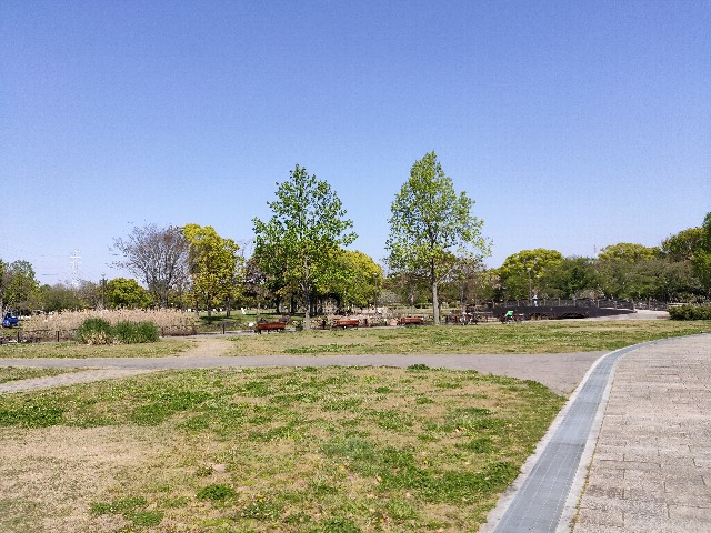 f:id:takechan5580:20200425160027j:image