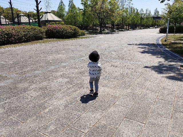 f:id:takechan5580:20200425160320j:image