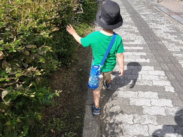 f:id:takechan5580:20210402154422j:image f:id:takechan5580:20210402154422j:image