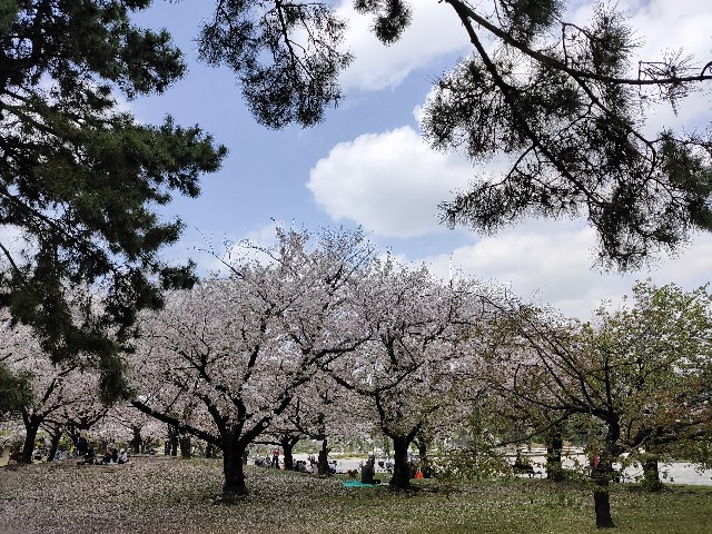 f:id:takechan5580:20210402154947j:image f:id:takechan5580:20210402154947j:image