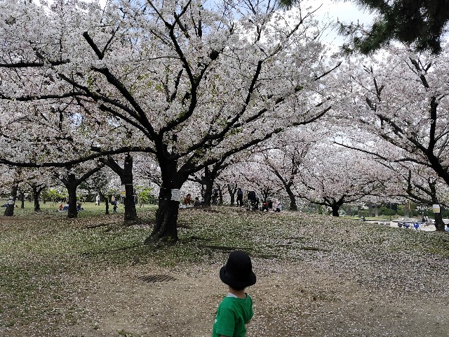 f:id:takechan5580:20210402154956j:image f:id:takechan5580:20210402154956j:image