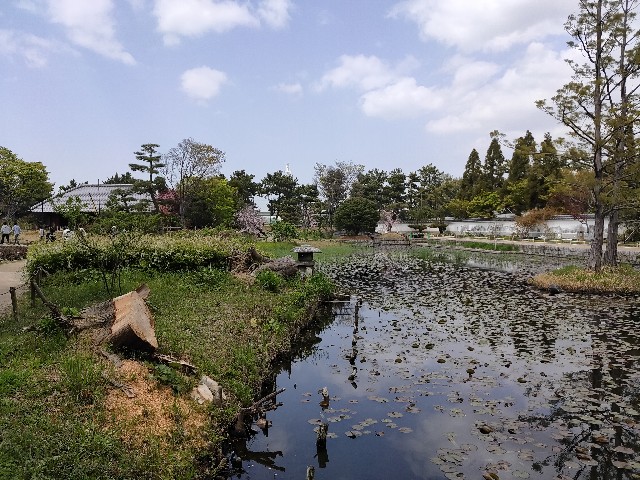 f:id:takechan5580:20210402155005j:image f:id:takechan5580:20210402155005j:image