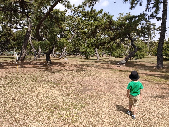 f:id:takechan5580:20210402155941j:image f:id:takechan5580:20210402155941j:image