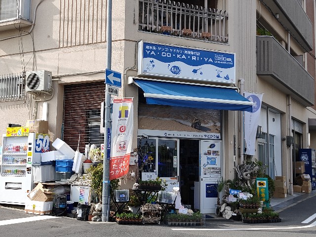 f:id:takechan5580:20210409123345j:image f:id:takechan5580:20210409123345j:image