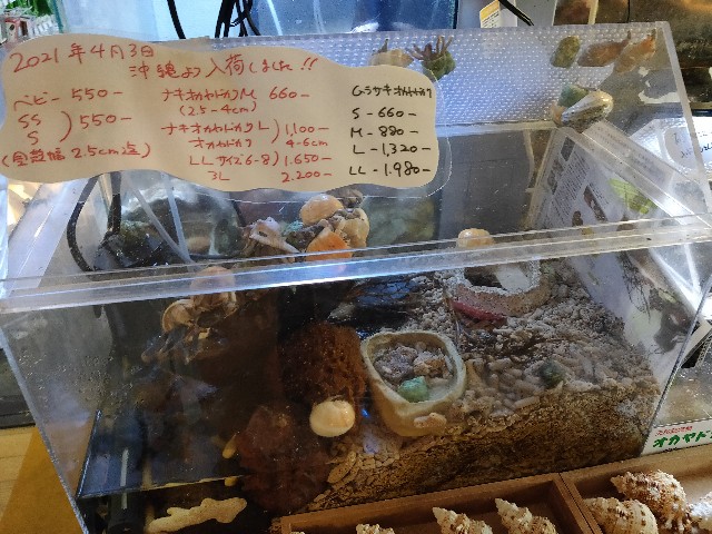 f:id:takechan5580:20210409123355j:image f:id:takechan5580:20210409123355j:image