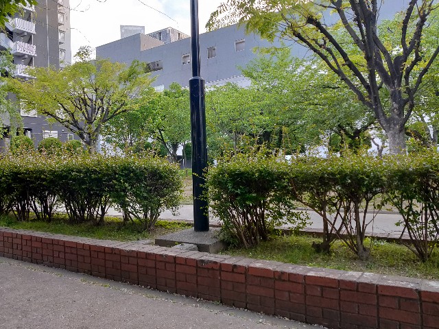 f:id:takechan5580:20210427175316j:image
