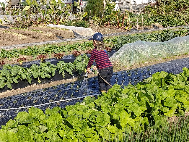 f:id:takechan5580:20211125085623j:image f:id:takechan5580:20211125085623j:image