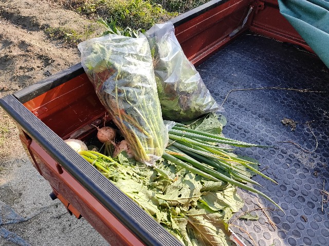 f:id:takechan5580:20211125085700j:image f:id:takechan5580:20211125085700j:image