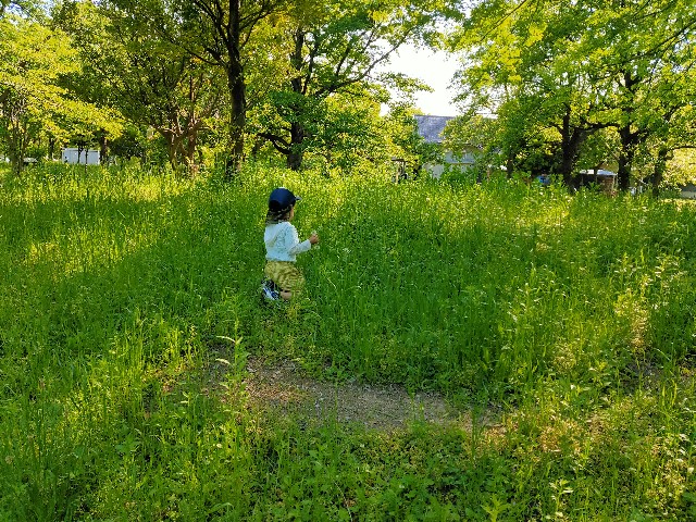 f:id:takechan5580:20220504083724j:image