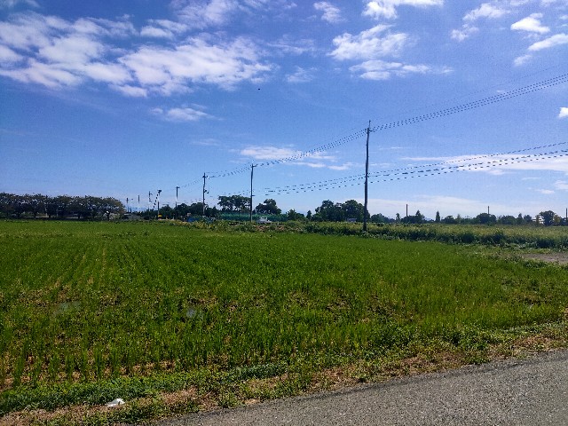 f:id:takechan5580:20220926144051j:image