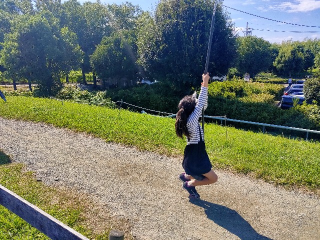 f:id:takechan5580:20220926150651j:image