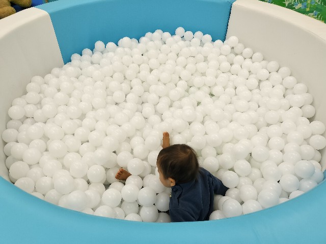 f:id:takechan5580:20230115161002j:image f:id:takechan5580:20230115161002j:image